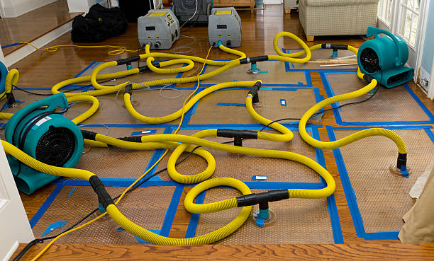 Professional Sewage Cleanup technician working in Rye, CO